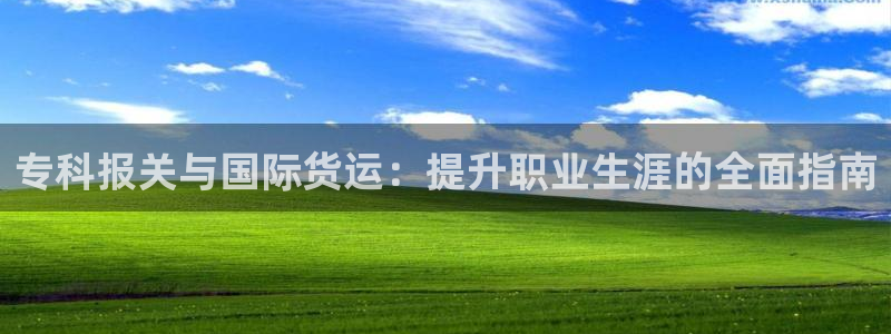 尊龙ag旗舰厅下载：专科报关与国际货运：提升职业生涯的全
