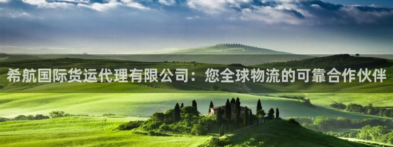 尊龙网站人生就是博：希航国际货运代理有限公司：您全球物流