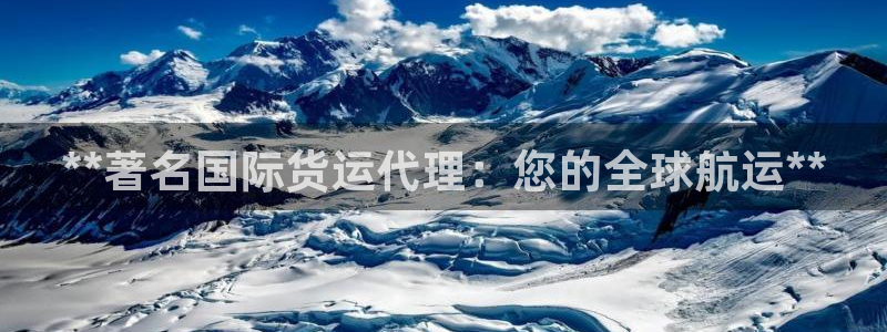 尊龙电子：**著名国际货运代理：您的全球航运**