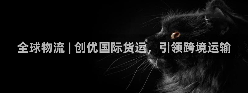 尊龙app怎么样：全球物流 | 创优国际货运，引领跨境运