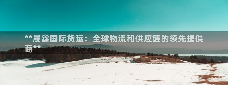 尊龙2020：**晟鑫国际货运：全球物流和供应链的领先提