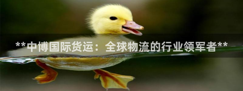 尊龙官网网站：**中博国际货运：全球物流的行业领军者**