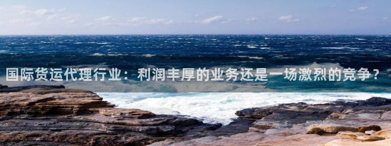 尊龙凯时代理能提出来不：国际货运代理行业：利润丰厚的业务