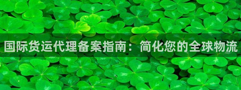 尊龙凯时赢不了：国际货运代理备案指南：简化您的全球物流