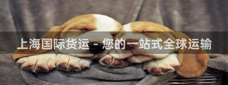 尊龙,人生就是搏：上海国际货运 - 您的一站式全球运输