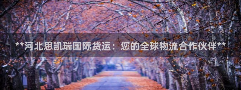 尊龙凯时企业文化：**河北思凯瑞国际货运：您的全球物流合