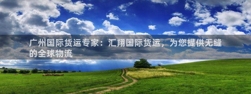 尊龙凯时游戏厅：广州国际货运专家：汇翔国际货运，为您提供