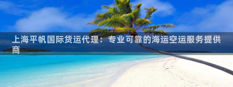 尊龙凯时提不了款：上海平帆国际货运代理：专业可靠的海运空