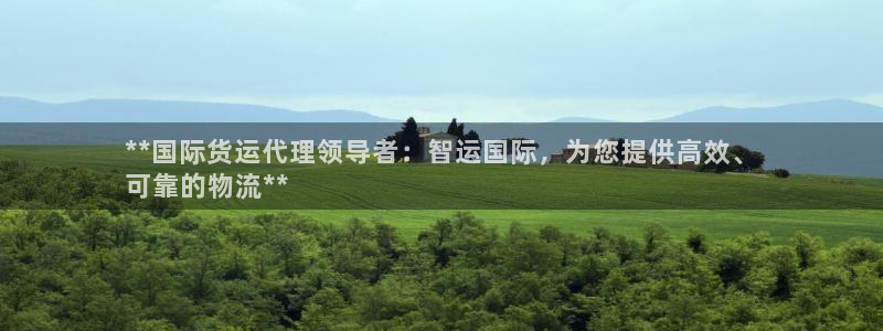 尊龙凯时人生就是搏z6com：**国际货运代理领导者：智