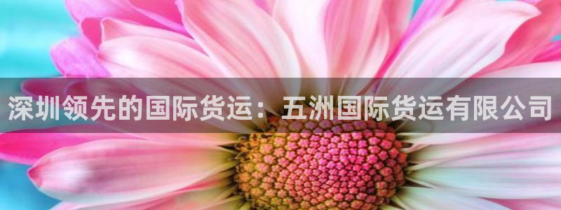 尊龙游戏官方网：深圳领先的国际货运：五洲国际货运有限公司