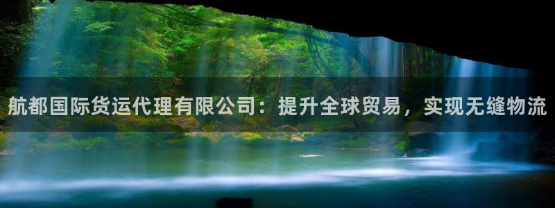 尊龙d88用现推选ag发财网：航都国际货运代理有限公司：
