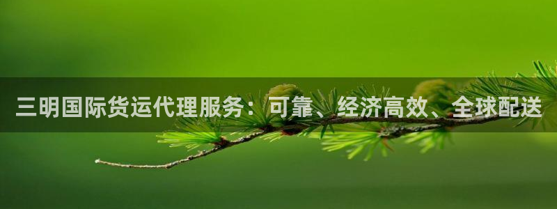 尊龙人生就是-首页(中国)有限公司：三明国际货运代理服务