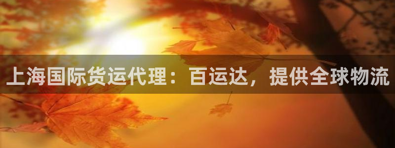 尊龙z6官网：上海国际货运代理：百运达，提供全球物流
