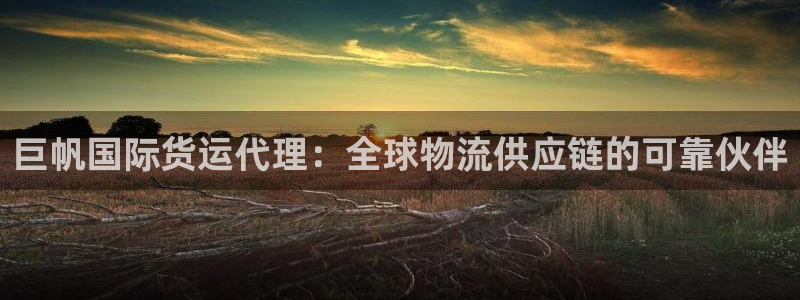 尊龙凯时贴吧：巨帆国际货运代理：全球物流供应链的可靠伙伴