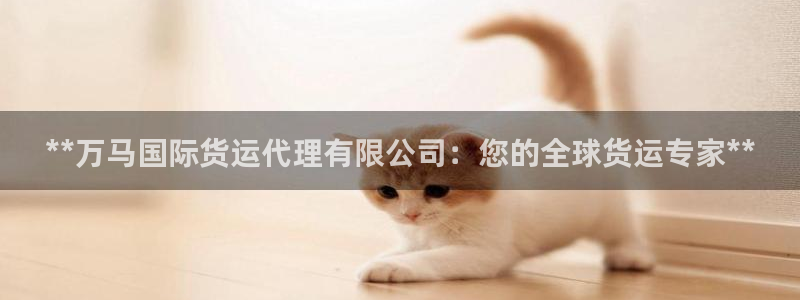 尊龙ktv怎么样：**万马国际货运代理有限公司：您的全球
