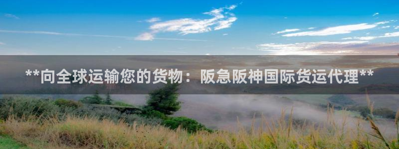 百度一下尊龙：**向全球运输您的货物：阪急阪神国际货运代