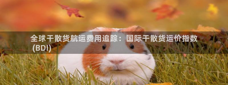 尊龙凯时福米推荐人：全球干散货航运费用追踪：国际干散货运