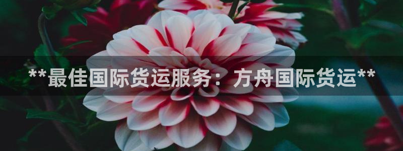 尊龙2021年最新消息：**最佳国际货运服务：方舟国际货