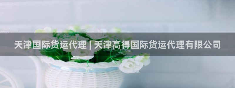 尊龙 下载：天津国际货运代理 | 天津高得国际货运代理有