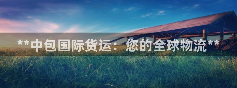 尊龙尊龙：**中包国际货运：您的全球物流**