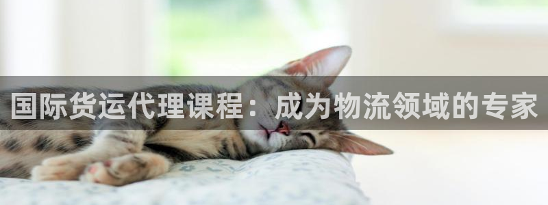 尊龙凯时平台不给出款怎么办：国际货运代理课程：成为物流领