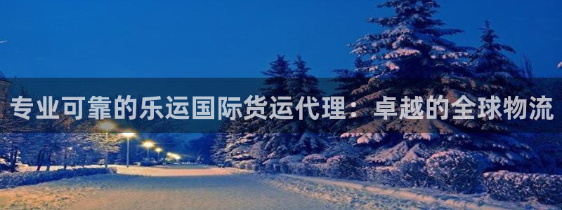 尊龙官方网站是真的吗：专业可靠的乐运国际货运代理：卓越的