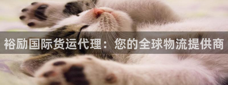 尊龙凯时百万奖池：裕励国际货运代理：您的全球物流提供商