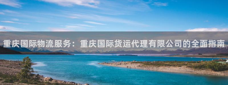 尊龙凯时 人生就是搏客服：重庆国际物流服务：重庆国际货运