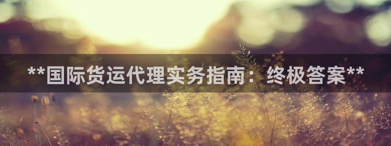 尊龙—人生就是博：**国际货运代理实务指南：终极答案**