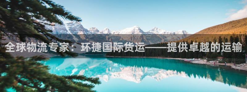 尊龙官方：全球物流专家：环捷国际货运——提供卓越的运输