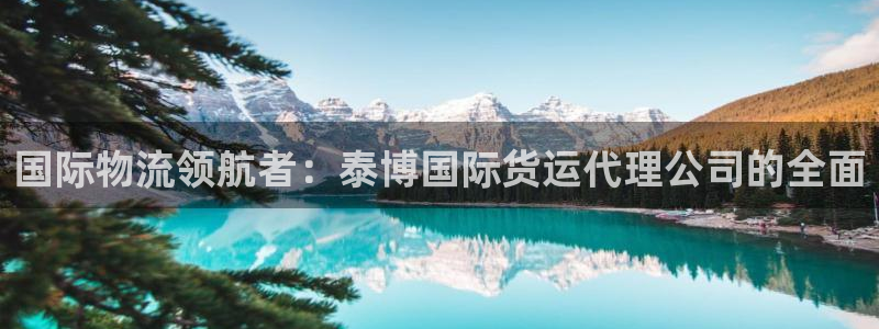 尊龙凯时能提现吗：国际物流领航者：泰博国际货运代理公司的