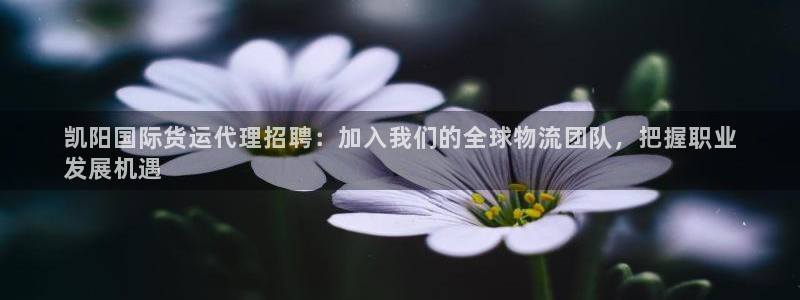尊龙d88现金关注ag发财网：凯阳国际货运代理招聘：加入