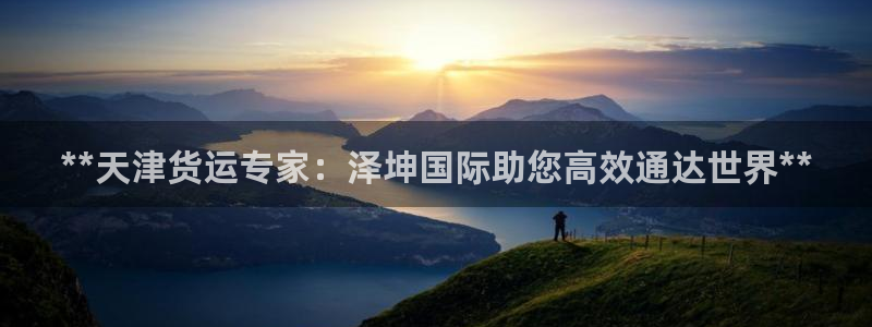 尊龙凯时赞助：**天津货运专家：泽坤国际助您高效通达世界