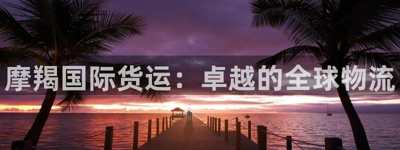 尊龙凯时怎么样没听说过：摩羯国际货运：卓越的全球物流