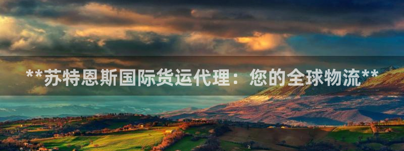 尊龙凯时邀请码：**苏特恩斯国际货运代理：您的全球物流*