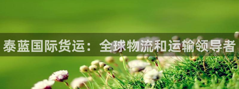 尊龙500价格：泰蓝国际货运：全球物流和运输领导者