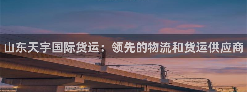 尊龙d88官网登录苹果版下载：山东天宇国际货运：领先的物