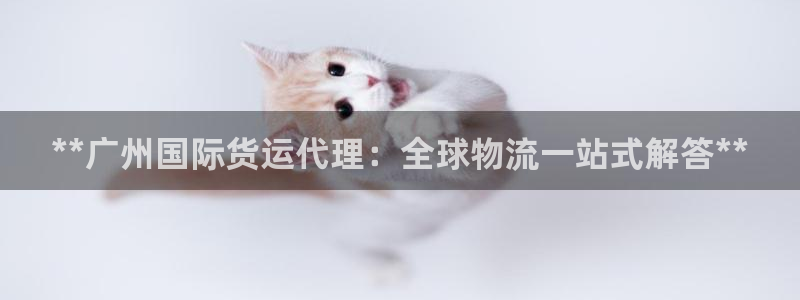 尊龙凯时手机版·(中国)官方网站：**广州国际货运代理：