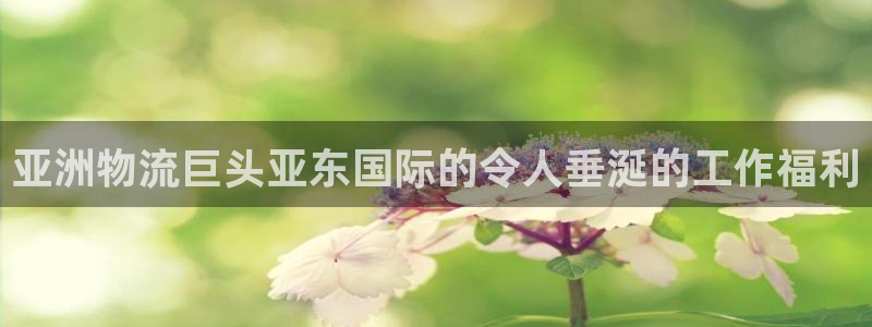 尊龙凯时美金能提取吗：亚洲物流巨头亚东国际的令人垂涎的工