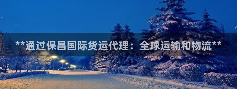 尊龙凯时只输不赢：**通过保昌国际货运代理：全球运输和物