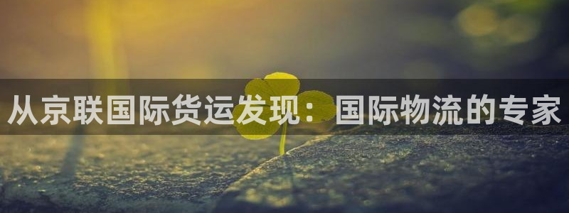 尊龙服饰有限公司地址：从京联国际货运发现：国际物流的专家