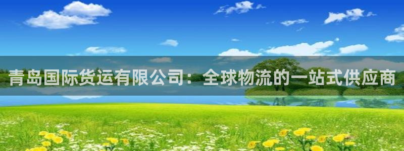 尊龙凯时-人生就是博中国官网：青岛国际货运有限公司：全球