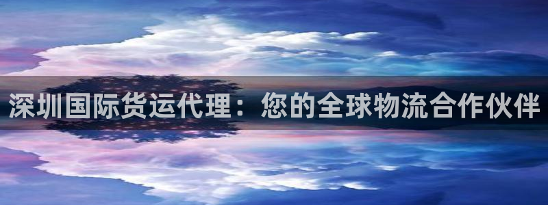 ag尊龙怎么样：深圳国际货运代理：您的全球物流合作伙伴