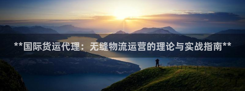 尊龙凯时产品系列：**国际货运代理：无缝物流运营的理论与