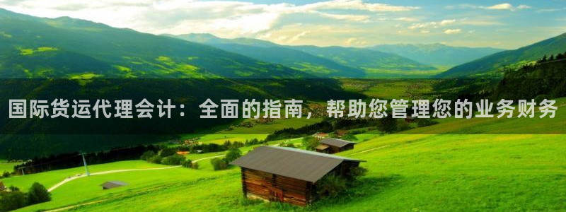 尊龙凯时和九游会哪个平台好一点：国际货运代理会计：全面的