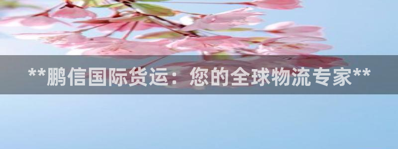 尊龙凯时城游戏官网：**鹏信国际货运：您的全球物流专家*