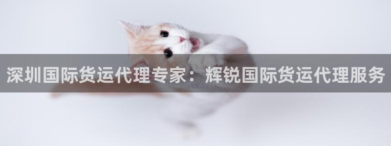 尊龙官网地址：深圳国际货运代理专家：辉锐国际货运代理服务