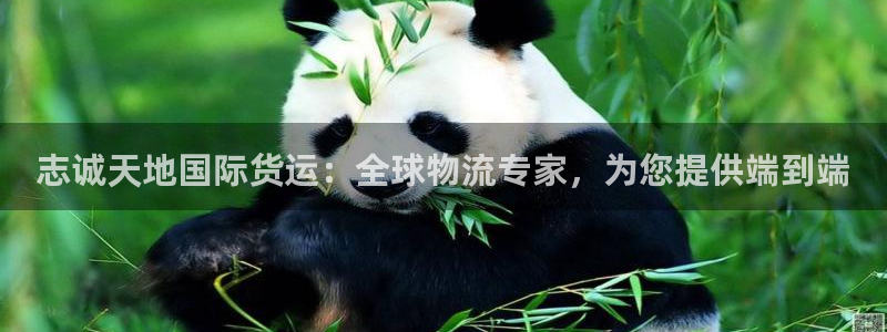 尊龙人生就是博客服：志诚天地国际货运：全球物流专家，为您