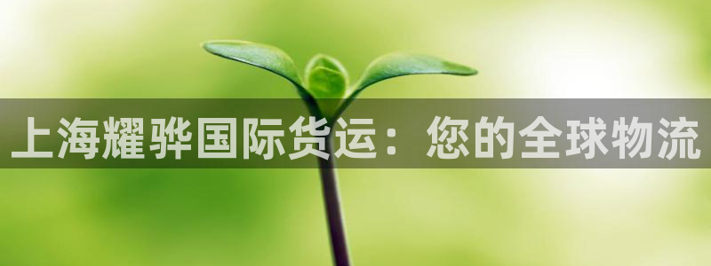 尊龙凯时人生就博：上海耀骅国际货运：您的全球物流