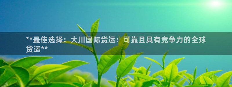 尊龙人生就是博l：**最佳选择：大川国际货运：可靠且具有